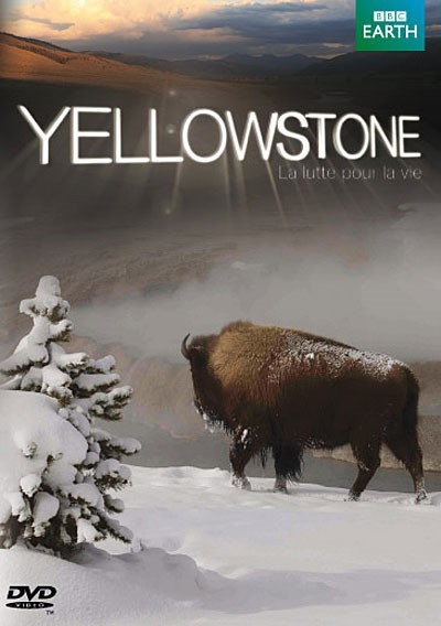 Yellowstone : la lutte pour la vie / producteur de la série Andrew Murray | Murray, Andrew. Producteur