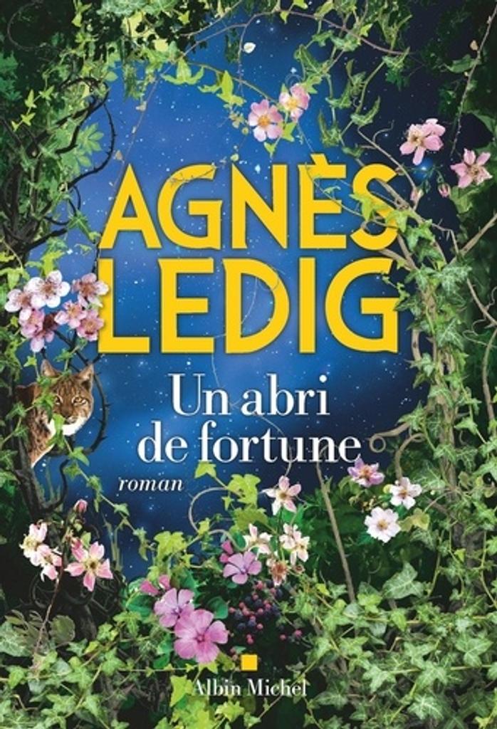 Un abri de fortune : roman / Agnès Ledig | 