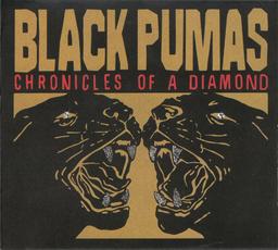 Chronicles of a diamond / Black Pumas | Black Pumas. Chanteur. Musicien